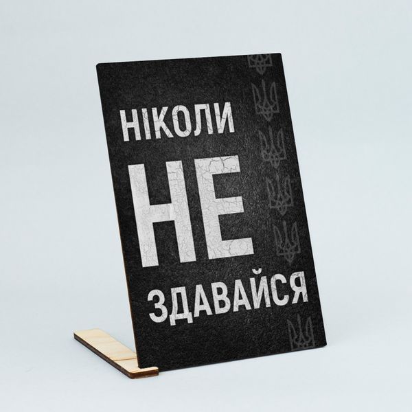 Листівка "Ніколи не здавайся" lvv0100 фото