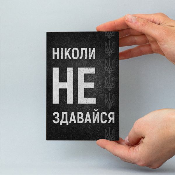 Листівка "Ніколи не здавайся" lvv0100 фото