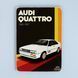 Постер "Audi Quattro 1980&ndash;1991. Ауді Куатро. Арт" pvm0083 фото 1