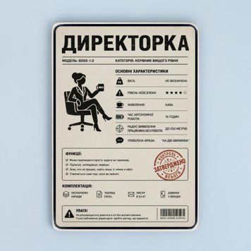 Постер "Директорка &mdash; інструкція по використанню" pvh0284 фото