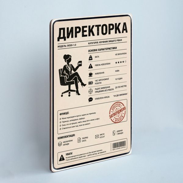 Постер "Директорка &mdash; інструкція по використанню" pvh0284 фото