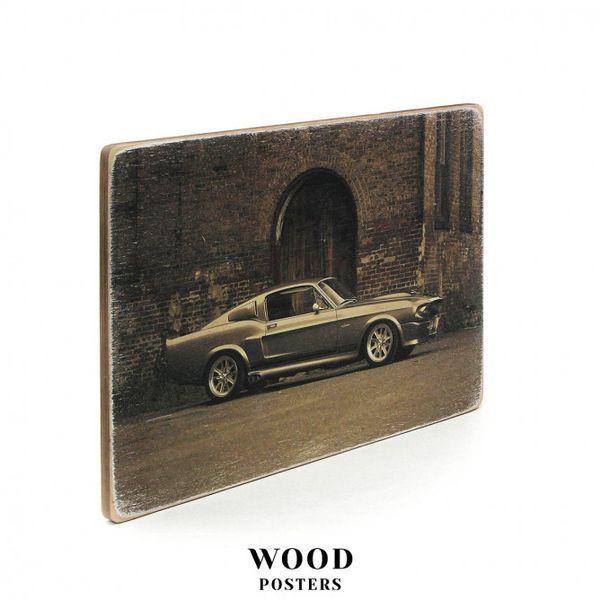 Постер "Ford Mustang Shelby GT500 Eleanor. Форд Мустанг Елеонор" pvm0004 фото