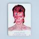 Постер "David Bowie. Aladdin Sane" pvx0174 фото 1