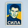 Постер &ldquo;СИЛА. Стус&rdquo; pvq0029 фото