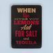 Постер "When life gives you lemons, ask for salt and tequila" pvh0055 фото 1