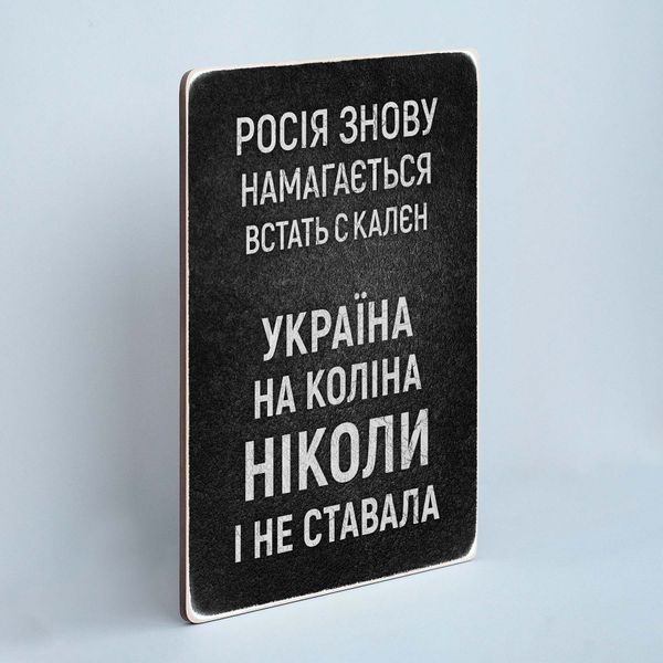 Постер "Україна на коліна не ставала" pvv0028 фото