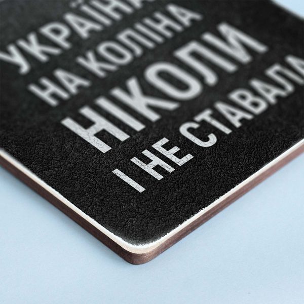 Постер "Україна на коліна не ставала" pvv0028 фото