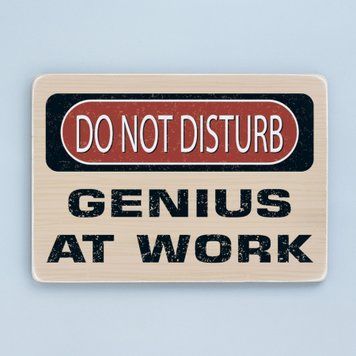 Постер "Do Not Disturb. Genius at work" pvh0117 фото