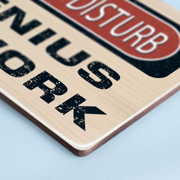 Постер "Do Not Disturb. Genius at work" pvh0117 фото