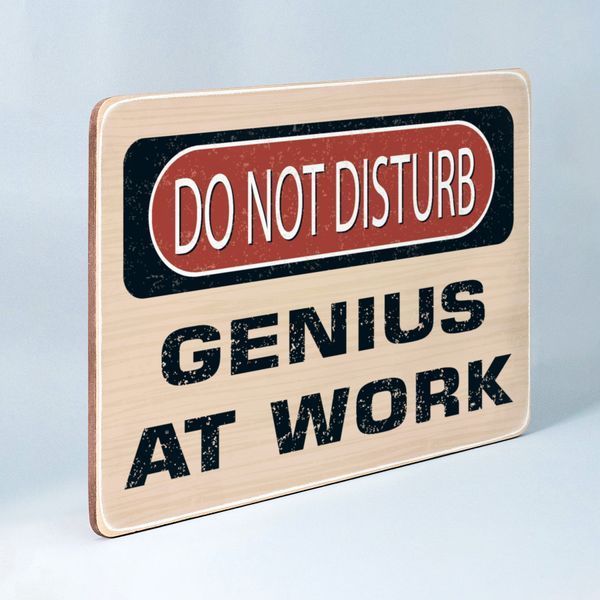 Постер "Do Not Disturb. Genius at work" pvh0117 фото