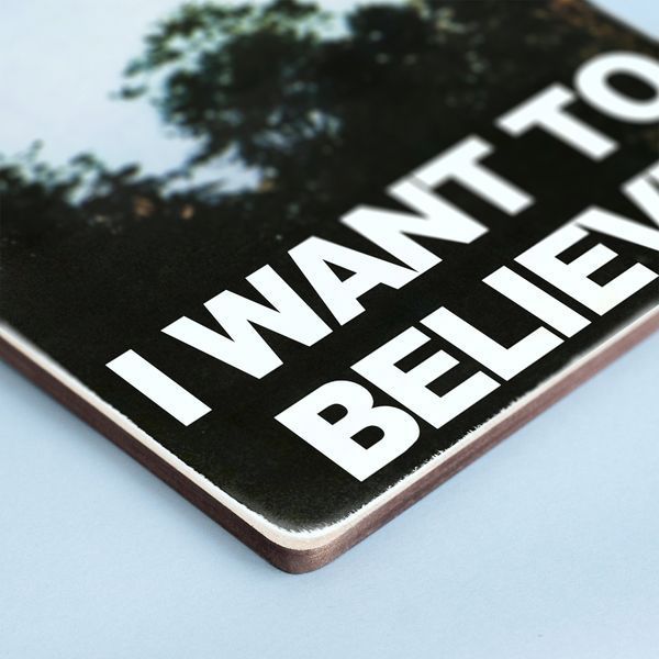 Постер "The X-Files. I want to believe" pvf0125 фото