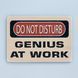 Постер "Do Not Disturb. Genius at work" pvh0117 фото 1