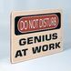 Постер "Do Not Disturb. Genius at work" pvh0117 фото 2