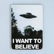 Постер "The X-Files. I want to believe" pvf0125 фото 1