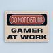 Постер "Do not disturb. Gamer at work" pvh0124 фото 1