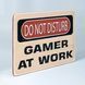 Постер "Do not disturb. Gamer at work" pvh0124 фото 2