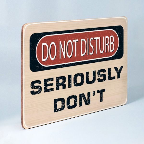 Постер "Do not disturb. Seriously don't" pvh0126 фото
