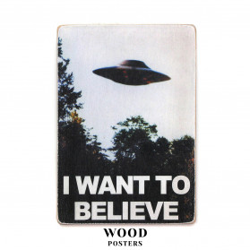 Постер "The X-Files. I want to believe"