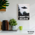 Постер "The X-Files. I want to believe"