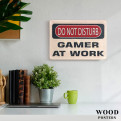 Постер "Do not disturb. Gamer at work"